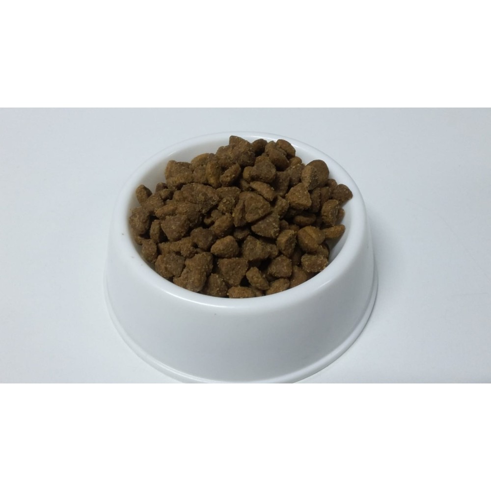 Hills Kitten Tavuklu Yavru Kedi Maması 1 kg