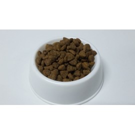 Hills Kitten Tavuklu Yavru Kedi Maması 1 kg