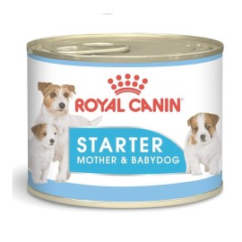 Royal Canin Starter Anne ve Yavru Köpek Konservesi 195gr