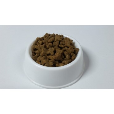 Nutri Feline Somonlu Kısırlaştırılmış Kedi Maması 1 kg