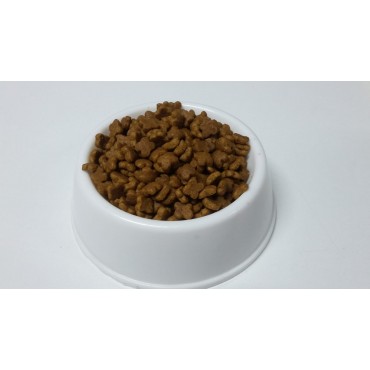 Royal Canin Kitten Açık Mama 1 Kg