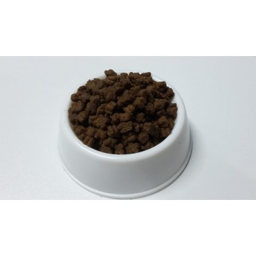 Nutri Kitten Somonlu Yavru Kedi Maması 1 kg