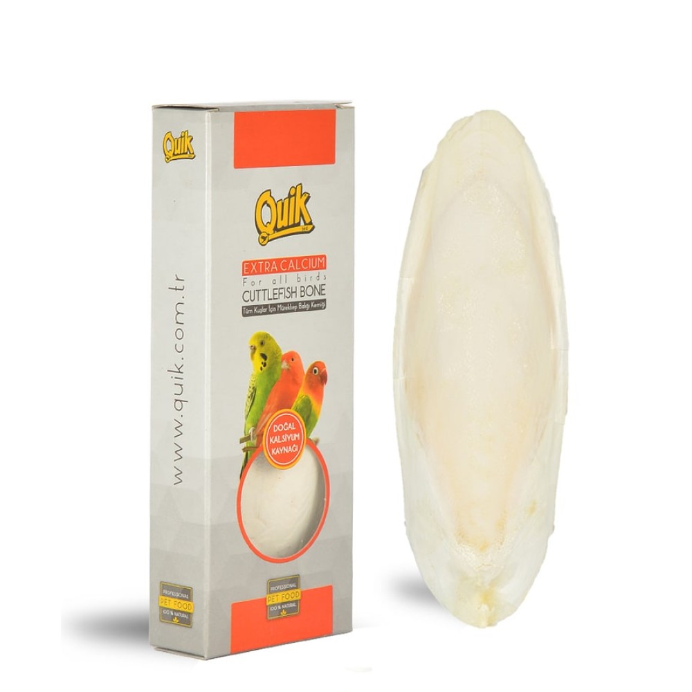 Quik Mürekkep Balığı Kemiği Orta QUİK-054
