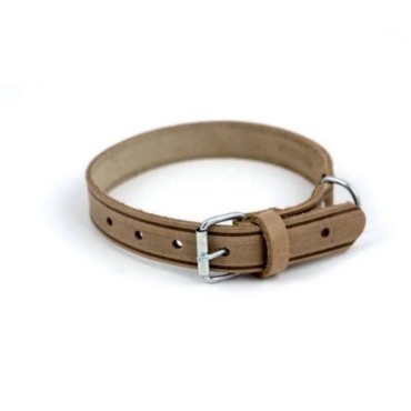 Royalist Deri Köpek Tasması 2x45 cm | Dayanıklı ve Şık Tasarım | Okyanus Petshop