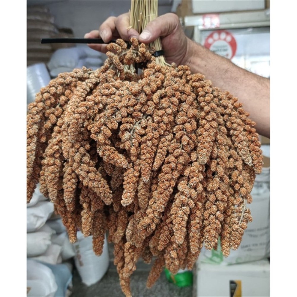 Kızıl Dal Darı Yerli Üretim 1 Kg