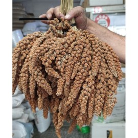 Kızıl Dal Darı Yerli Üretim 1 Kg