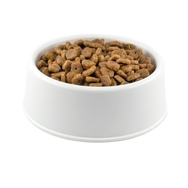 Felicia Sterilised Tavuklu Kedi Maması 1 Kg