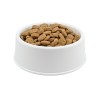 Cuddy Adult Kuzu Etli Köpek Maması 1 kg