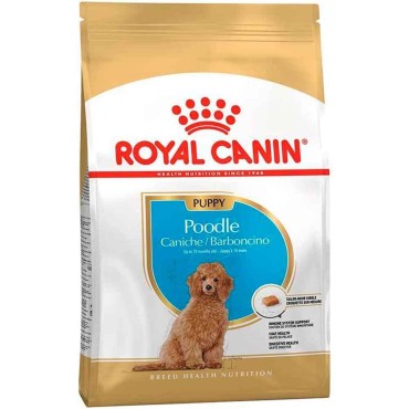 ROYAL CANİN Poodle Puppy Yavru Köpek Maması – 3 KG