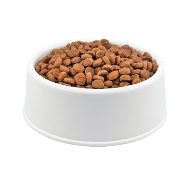 Nutri Adult Kümes Hayvanlı Açık Yetişkin Kedi Maması 1 Kg