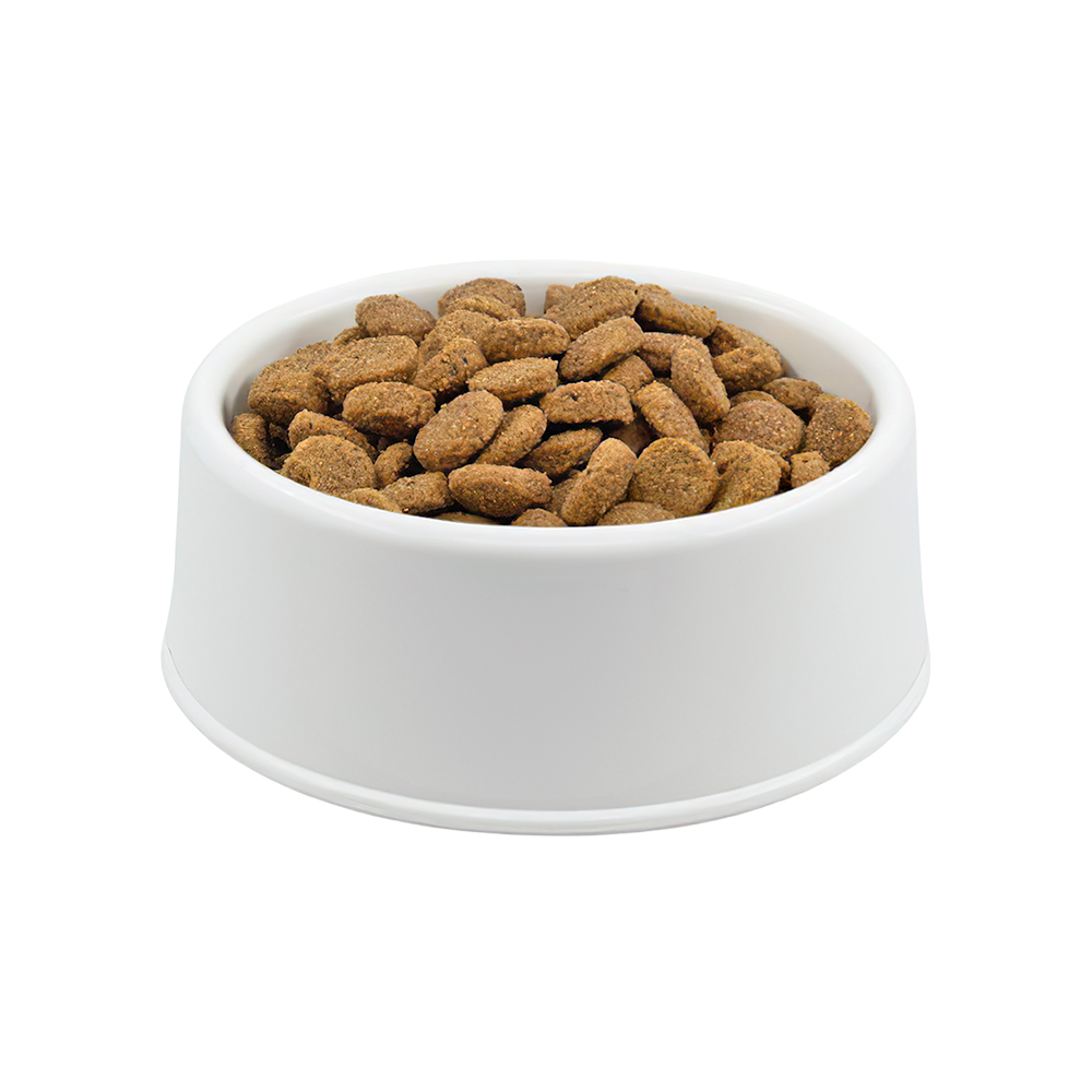 Royal Canin Küçük Irk Anne Bebek Açık Yetişkin Köpek Maması 1 Kg