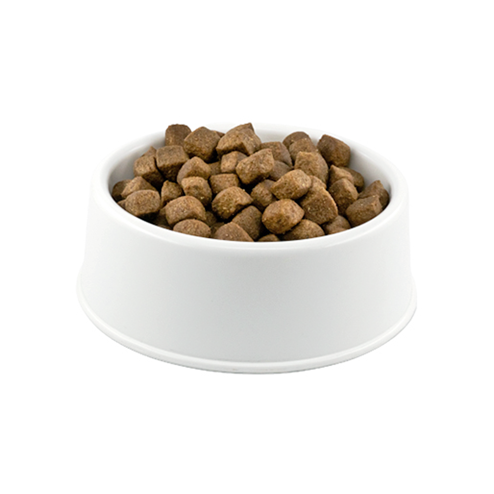 BonaCibo Kuzu Etli ve Pirinçli Açık Yavru Köpek Maması 1 Kg