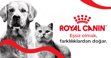 Royal Canin