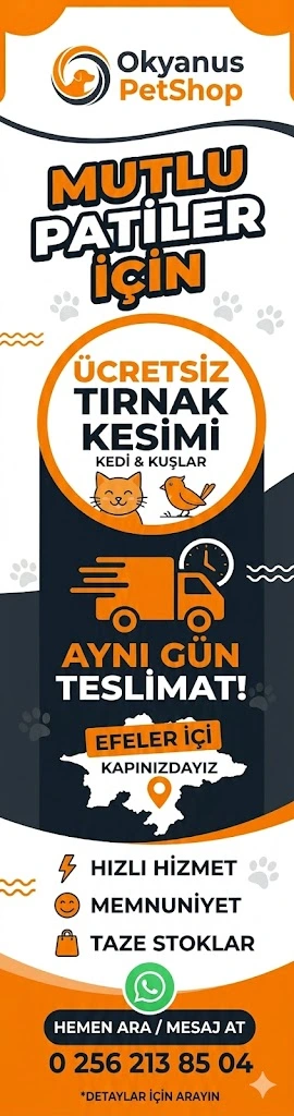 Ücretsiz Tırnak Kesimi