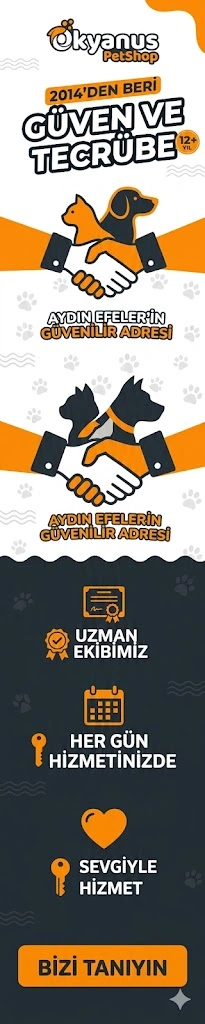 Okyanus PetShop Deneyimi